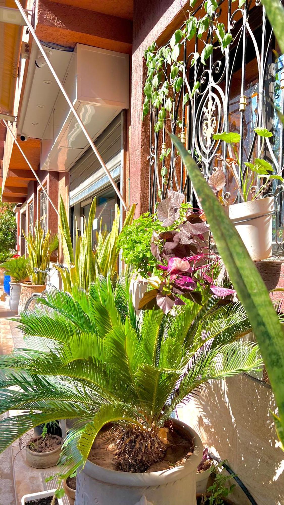 Sabor Aparts Jawharat Al Atlas -Only Family Marrakesch Exterior foto